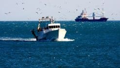 Lessons learnt - Contact with fishing boat